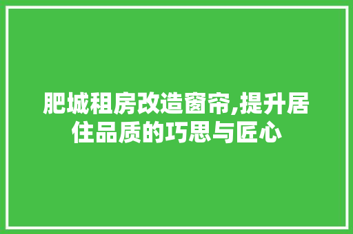 肥城租房改造窗帘,提升居住品质的巧思与匠心