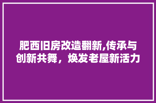 肥西旧房改造翻新,传承与创新共舞，焕发老屋新活力