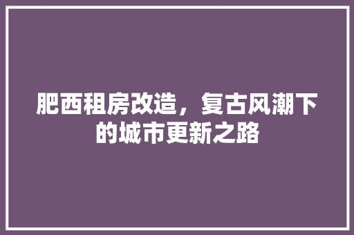 肥西租房改造，复古风潮下的城市更新之路