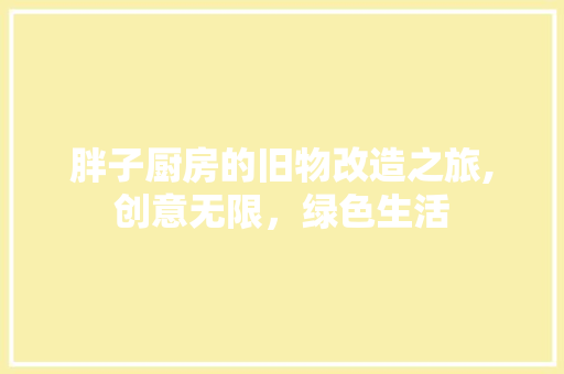 胖子厨房的旧物改造之旅,创意无限，绿色生活