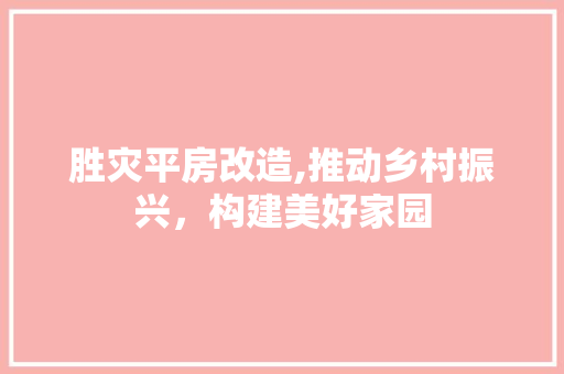 胜灾平房改造,推动乡村振兴，构建美好家园