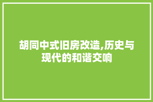 胡同中式旧房改造,历史与现代的和谐交响