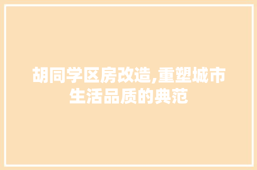 胡同学区房改造,重塑城市生活品质的典范