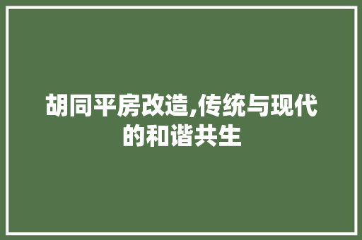 胡同平房改造,传统与现代的和谐共生