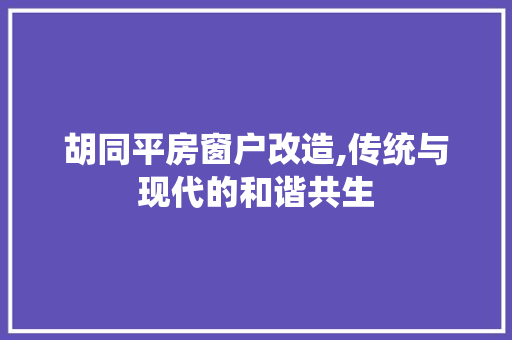 胡同平房窗户改造,传统与现代的和谐共生