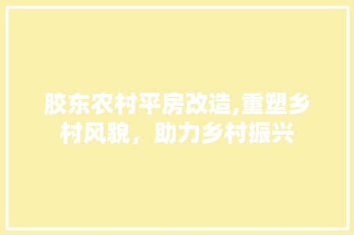 胶东农村平房改造,重塑乡村风貌，助力乡村振兴