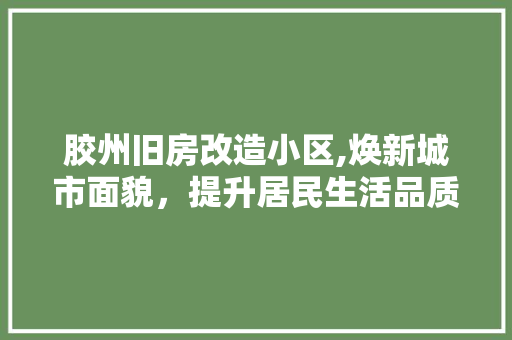 胶州旧房改造小区,焕新城市面貌，提升居民生活品质