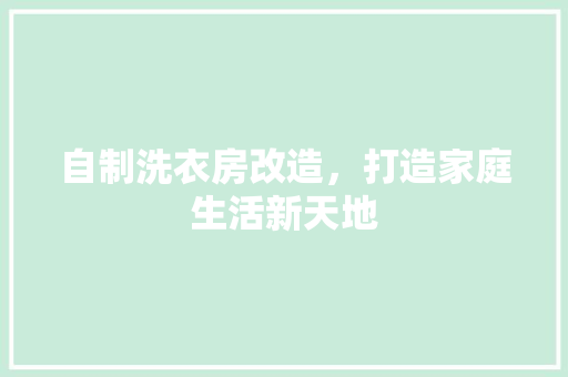 自制洗衣房改造，打造家庭生活新天地 墙体维修