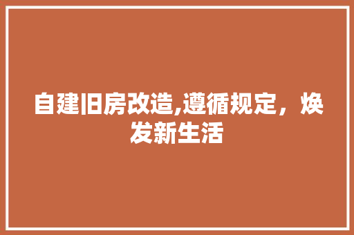 自建旧房改造,遵循规定，焕发新生活 厨房维修