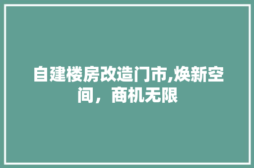 自建楼房改造门市,焕新空间，商机无限 汽车维修