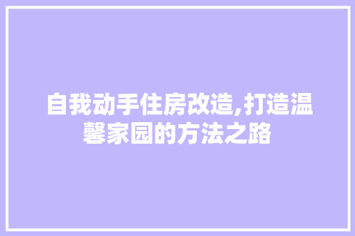 自我动手住房改造,打造温馨家园的方法之路 厨房维修
