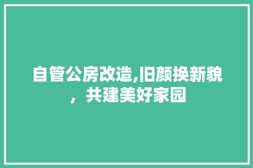 自管公房改造,旧颜换新貌，共建美好家园