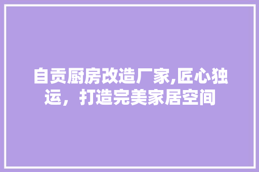 自贡厨房改造厂家,匠心独运，打造完美家居空间