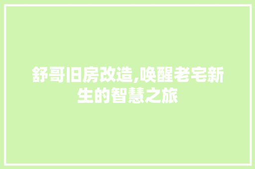 舒哥旧房改造,唤醒老宅新生的智慧之旅