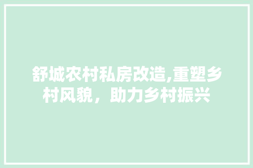 舒城农村私房改造,重塑乡村风貌，助力乡村振兴