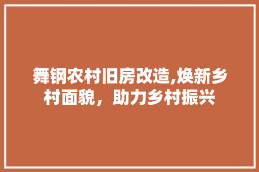 舞钢农村旧房改造,焕新乡村面貌，助力乡村振兴