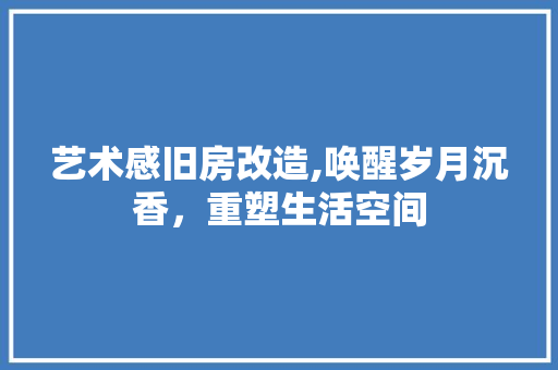 艺术感旧房改造,唤醒岁月沉香，重塑生活空间 厨房维修