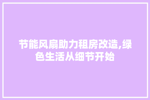 节能风扇助力租房改造,绿色生活从细节开始 汽车维修