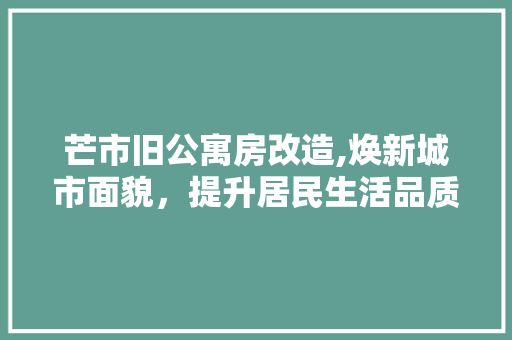 芒市旧公寓房改造,焕新城市面貌，提升居民生活品质