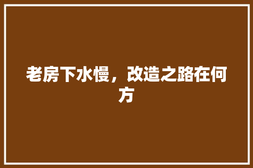 老房下水慢，改造之路在何方