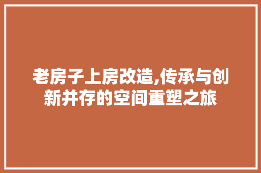 老房子上房改造,传承与创新并存的空间重塑之旅