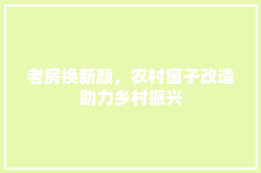 老房换新颜，农村窗子改造助力乡村振兴 厨房维修