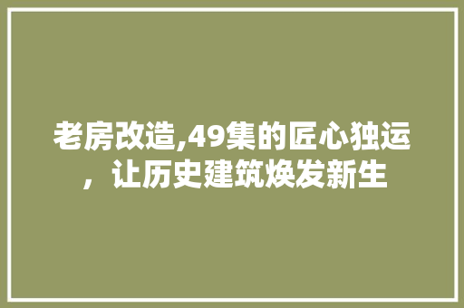 老房改造,49集的匠心独运，让历史建筑焕发新生 墙体维修