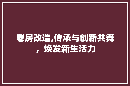 老房改造,传承与创新共舞，焕发新生活力 家电维修