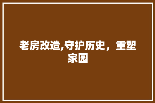 老房改造,守护历史，重塑家园