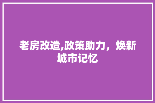 老房改造,政策助力，焕新城市记忆
