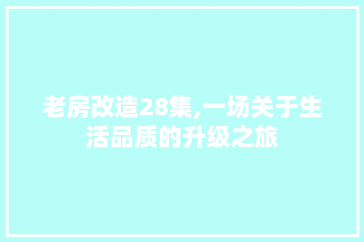 老房改造28集,一场关于生活品质的升级之旅