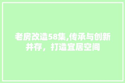 老房改造58集,传承与创新并存，打造宜居空间