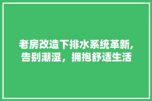 老房改造下排水系统革新,告别潮湿，拥抱舒适生活