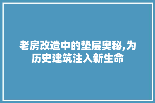 老房改造中的垫层奥秘,为历史建筑注入新生命 汽车维修