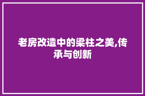 老房改造中的梁柱之美,传承与创新 汽车维修