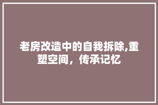 老房改造中的自我拆除,重塑空间，传承记忆 墙体维修