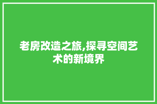 老房改造之旅,探寻空间艺术的新境界