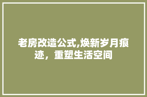 老房改造公式,焕新岁月痕迹，重塑生活空间