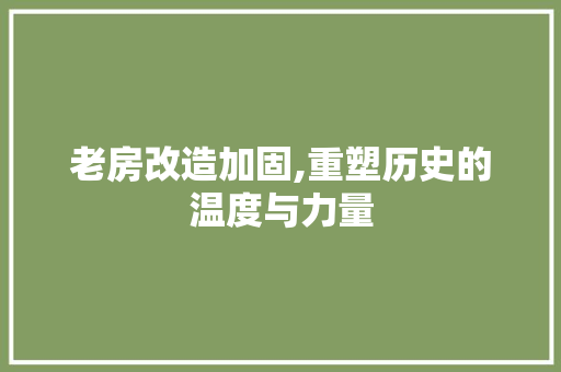老房改造加固,重塑历史的温度与力量