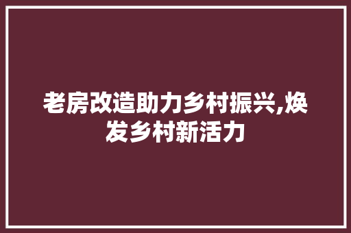 老房改造助力乡村振兴,焕发乡村新活力 综合便民