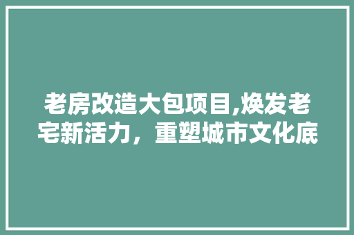 老房改造大包项目,焕发老宅新活力，重塑城市文化底蕴