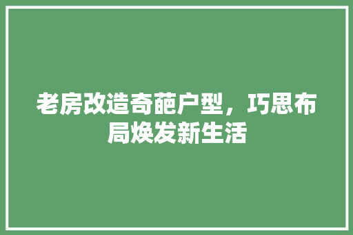 老房改造奇葩户型，巧思布局焕发新生活