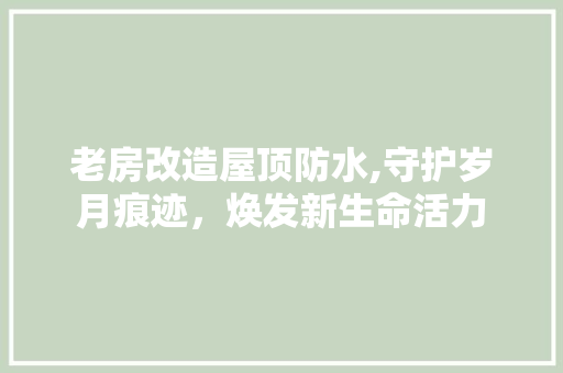老房改造屋顶防水,守护岁月痕迹，焕发新生命活力