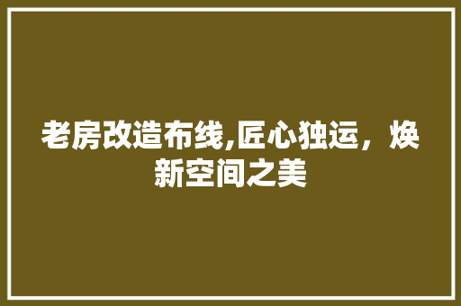 老房改造布线,匠心独运，焕新空间之美 汽车维修
