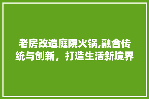 老房改造庭院火锅,融合传统与创新，打造生活新境界