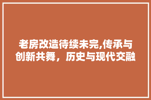 老房改造待续未完,传承与创新共舞，历史与现代交融