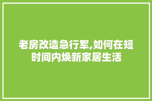 老房改造急行军,如何在短时间内焕新家居生活 综合便民