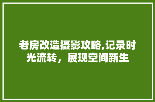 老房改造摄影攻略,记录时光流转，展现空间新生