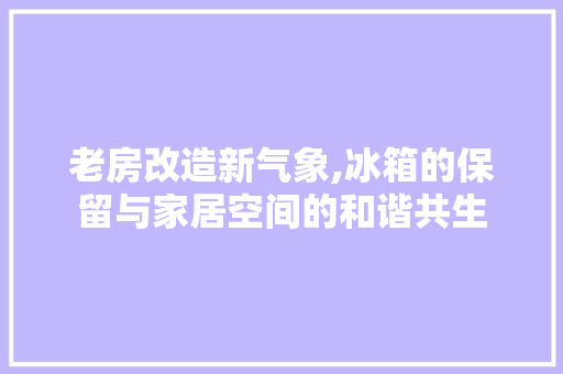 老房改造新气象,冰箱的保留与家居空间的和谐共生