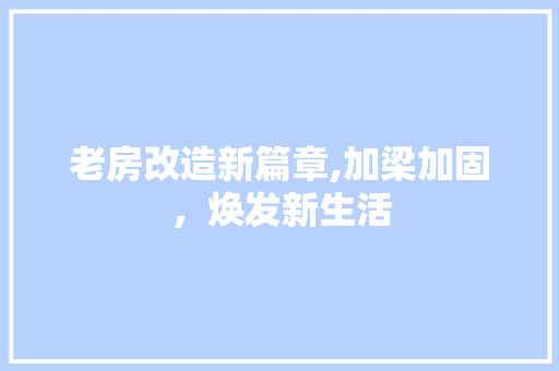 老房改造新篇章,加梁加固，焕发新生活 家电维修